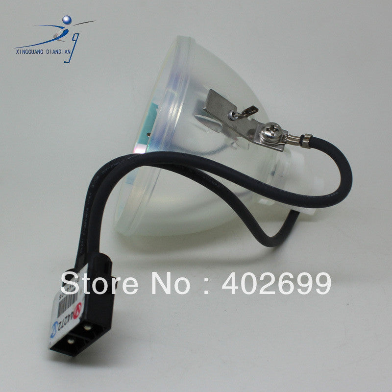 HP L1731A Phoenix Projector Bare Lamp