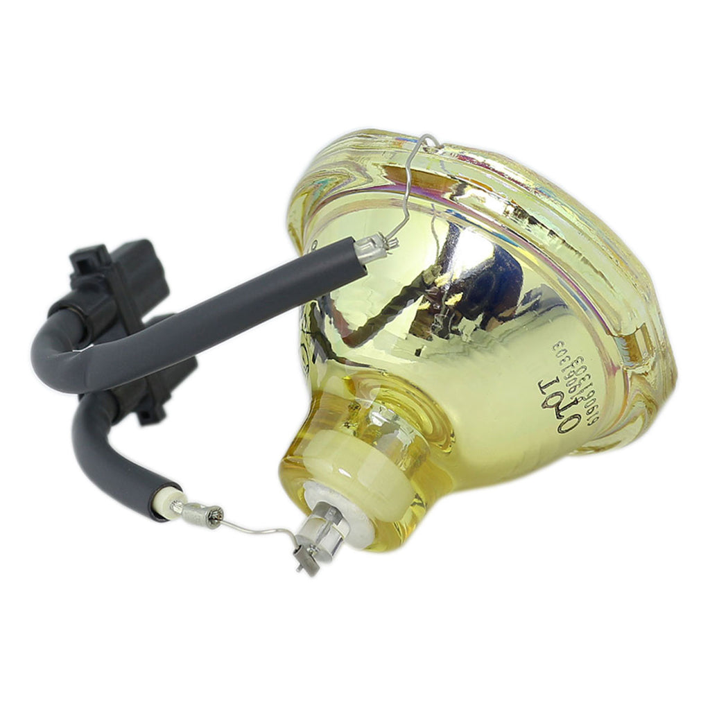Liesegang ZU0209-04-4010 OEM Projector Bare Lamp