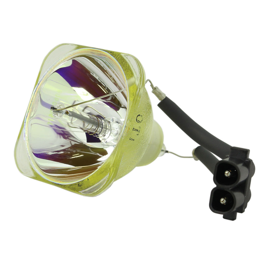 Iwasaki HS200AR10-2E OEM Projector Bare Lamp