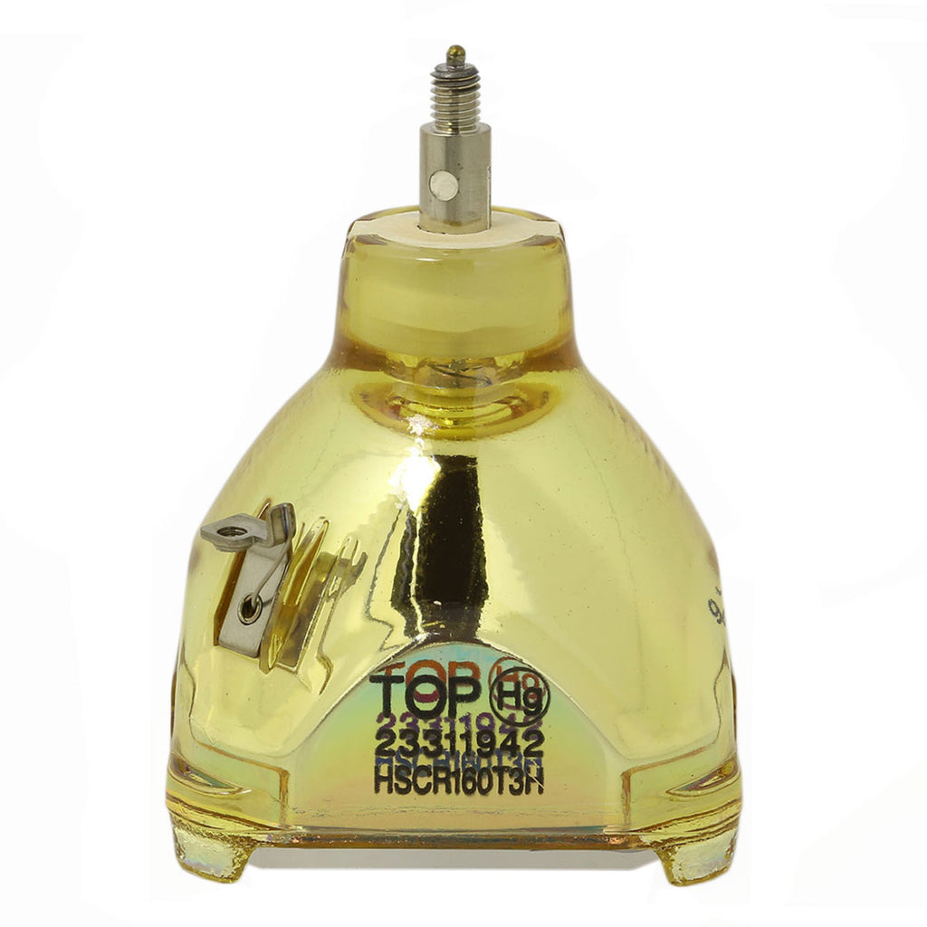 IWASAKI HSCR160T3H OEM Projector Bare Lamp