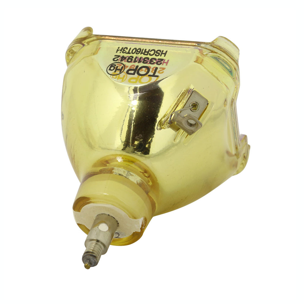 IWASAKI HSCR160T3H OEM Projector Bare Lamp