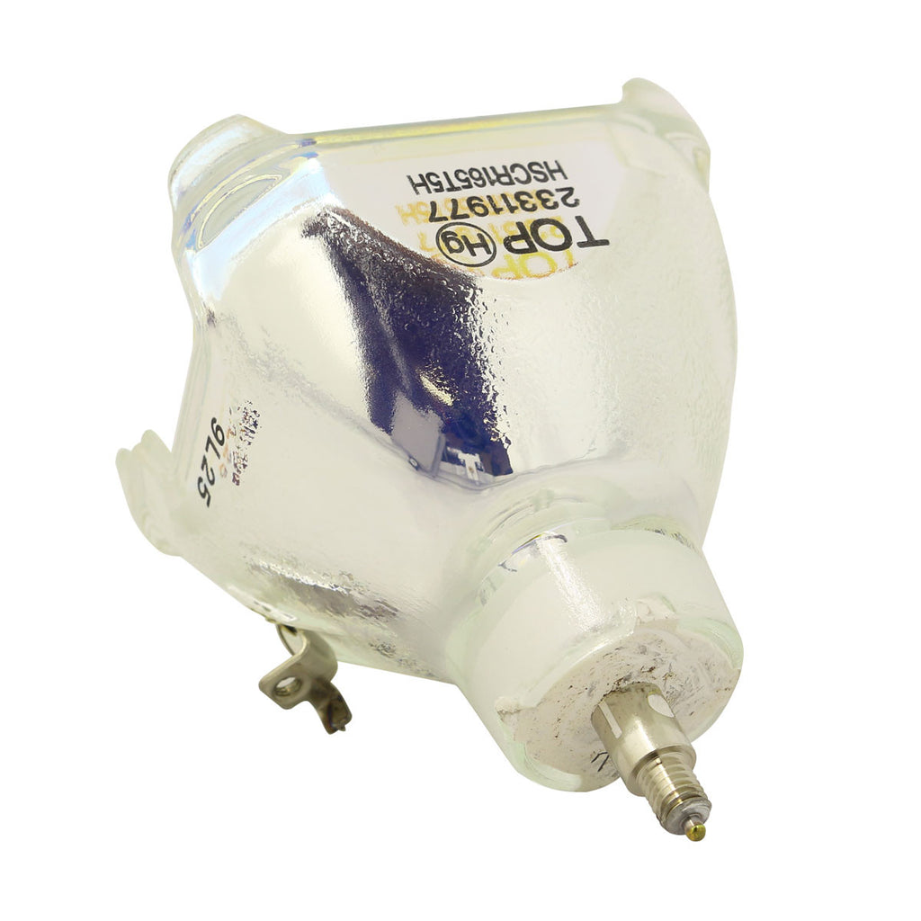 IWASAKI HSCR165T5H OEM Projector Bare Lamp
