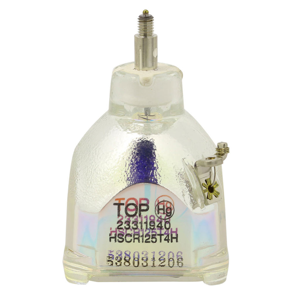 IWASAKI HSCR125T4H OEM Projector Bare Lamp