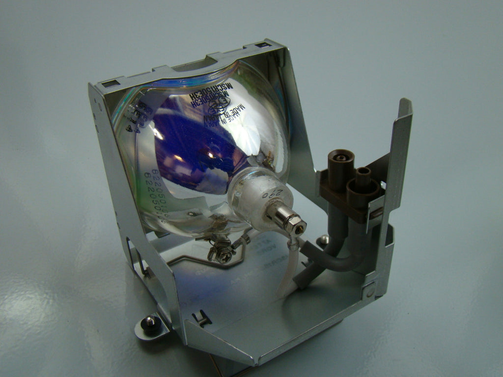 Epson 1023661 OEM Projector Lamp Module