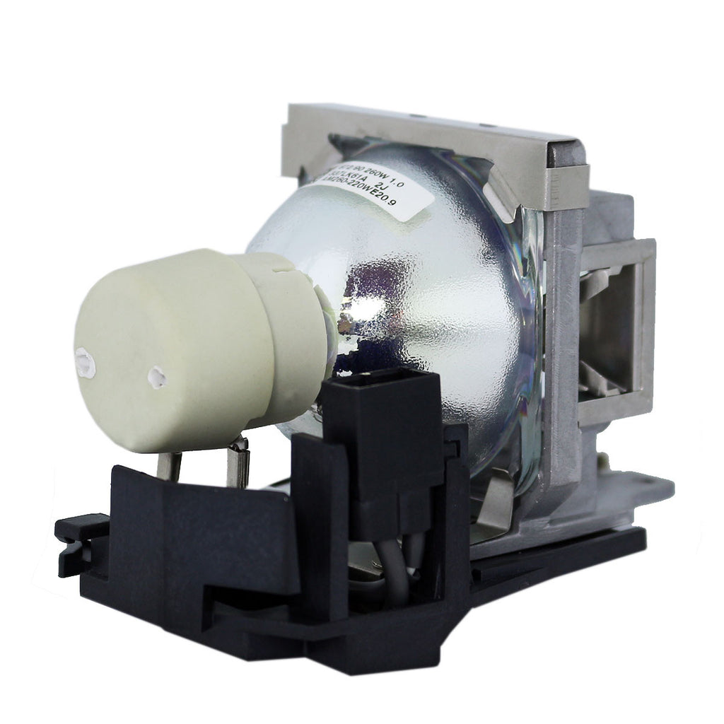 BenQ 5J.J1105.001 Philips Projector Lamp Module