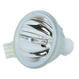 Ask Proxima LAMP-009 Phoenix Projector Bare Lamp