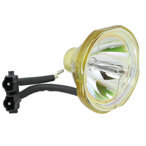 Liesegang ZU0209-04-4010 OEM Projector Bare Lamp