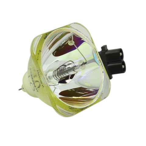 Iwasaki HS200AR10-2E OEM Projector Bare Lamp