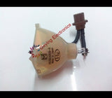 IWASAKI HS165AR09-4 OEM Projector Bare Lamp