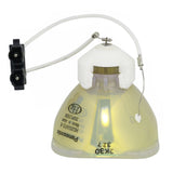 IWASAKI HS350AR12-8 OEM Projector Bare Lamp
