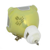 IWASAKI HS150AR10-8 OEM Projector Bare Lamp