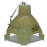 Infocus SP-LAMP-007 Philips Projector Bare Lamp