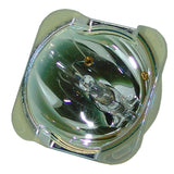 Infocus 265876 Philips Projector Bare Lamp