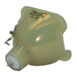 3D Perception 313-400-0184-00 Philips Projector Bare Lamp