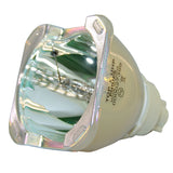 Digital Projection  112-818  Philips Projector Bare Lamp