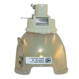 Digital Projection  112-818  Philips Projector Bare Lamp