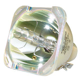 Digital Projection  109-215J  Philips Projector Bare Lamp