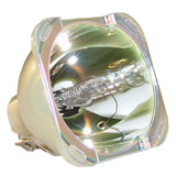 Digital Projection  109-215J  Philips Projector Bare Lamp