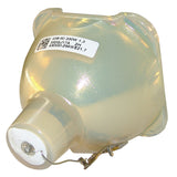Digital Projection  109-215J Philips Projector Bare Lamp