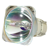 Optoma BL-FP260C Philips Projector Bare Lamp