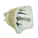 Optoma BL-FN465A Philips Projector Bare Lamp