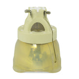 Optoma BL-FN465A Philips Projector Bare Lamp