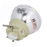 InFocus  SP-LAMP-101 Philips Projector Bare Lamp