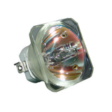 BenQ 5J.01201.001 Ushio Projector Bare Lamp