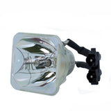 Liesegang ZU1240-04-4010 Ushio Projector Bare Lamp