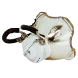 Ushio NSHA275V Ushio Projector Bare Lamp