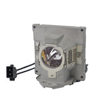 BenQ 5J.J2D05.001 Philips Projector Lamp Module