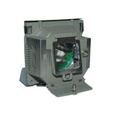 BenQ 5J.J0A05.001 Phoenix Projector Lamp Module