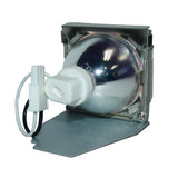 Viewsonic RLC-058 Phoenix Projector Lamp Module