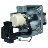 Mitsubishi VLT-EX320LP Philips Projector Lamp Module