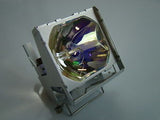 Epson 1023661 OEM Projector Lamp Module
