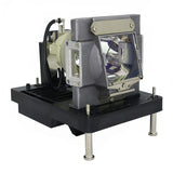 Digital Projection 112-531 Philips Projector Lamp Module