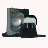 Acer EC.J3901.001 Phoenix Projector Lamp Module
