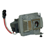 Infocus SP-LAMP-019 Phoenix Projector Lamp Module