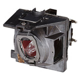 Viewsonic RLC-109 OEM Projector Lamp Module