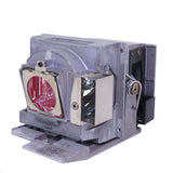 Viewsonic RLC-103 Ushio Projector Lamp Module