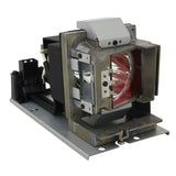 Optoma 5811118924-SOT Philips Projector Lamp Module