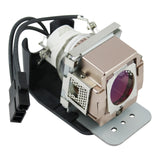 Viewsonic RLC-030 Ushio Projector Lamp Module