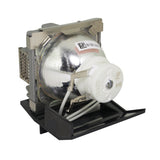 Viewsonic RLC-035 Phoenix Projector Lamp Module