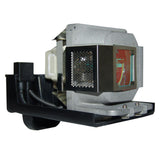 Sanyo POA-LMP118 OEM Projector Lamp Module