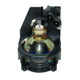 Liesegang ZU0202-04-4010 OEM Projector Lamp Module