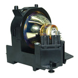 Liesegang ZU0205-04-4011 OEM Projector Lamp Module