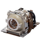 Casio YL-31  Ushio Projector Lamp Module