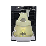Digital Projection 114-318 Philips Projector Lamp Module