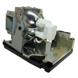 Vivitek 5811100795-SU Compatible Projector Lamp Module