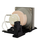 Optoma BL-FP190A Compatible Projector Lamp Module